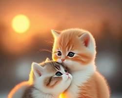 Pure twin purr-fection! Watch these two sweethearts cuddle up.